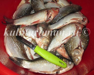 Carp, prăjit în făină de porumb, rețete delicioase