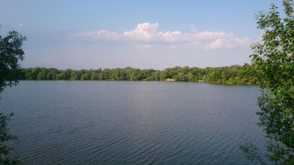 Carieră în Manushkino