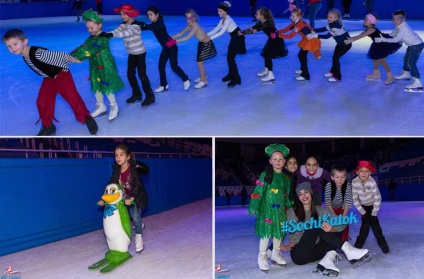 Patinoar în parcul olimpic Sochi program, prețuri, cum să ajungi acolo