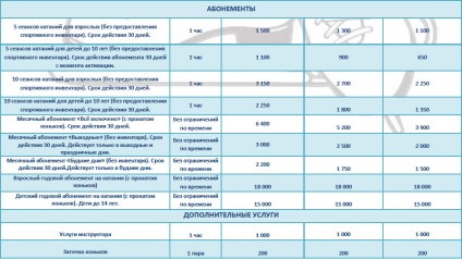 Patinoar în parcul olimpic Sochi program, prețuri, cum să ajungi acolo