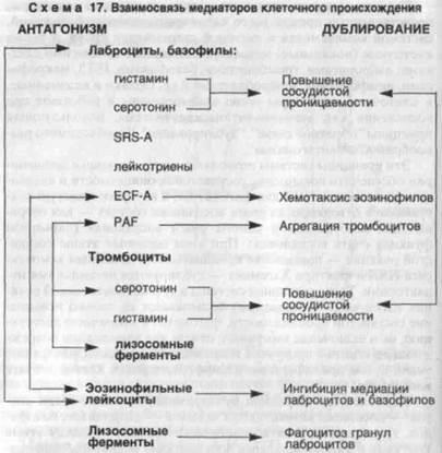 Kinetica procesului inflamator