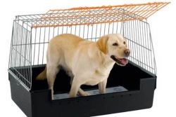 Cage pentru câini