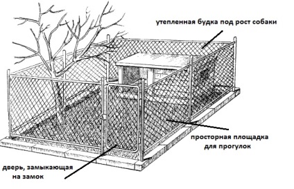 Colivii pentru câini într-un apartament, transport, cum să îmblânzească, greutate și înălțime, video