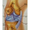 Clinica plasmamed, Tratamentul coloanei vertebrale și articulațiilor, Zaporozhye