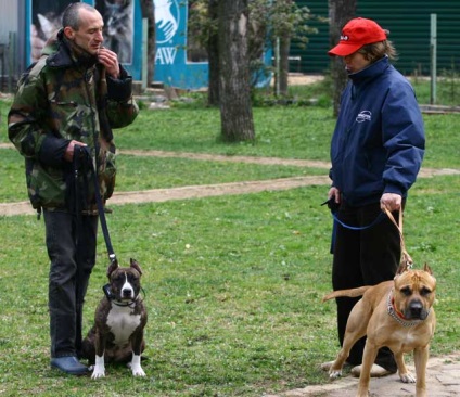 Club de câine Veo-service, ciobanesc din Europa de Est, câini de pregătire în Moscova,