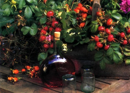 Cognacul de la vodcă la rețetele de gătit acasă
