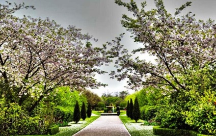 Royal Regent's Park, un punct de reper al Londrei, salut, Londra