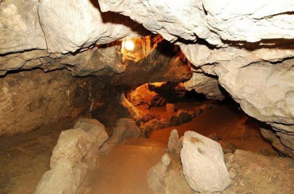 Vörös barlang kutyabogár a Krím-félszigeten