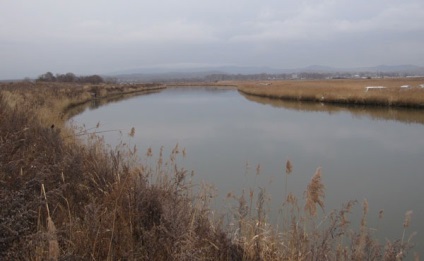 Redfish Far Eastern de prindere nituite roșii în râu în apropierea mare mare rudd-wit