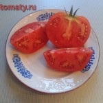 Idol, totul despre tomate (tomate) - video, fotografii, apeluri