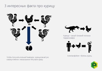 Carne de pui secrete 5 lucruri pe care nu le știai despre aceste păsări de curte