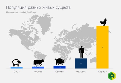 Carne de pui secrete 5 lucruri pe care nu le știai despre aceste păsări de curte