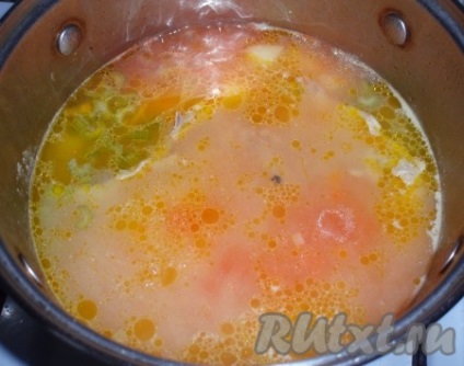 Supă de pui cu orez și suc de roșii - rețetă cu fotografie