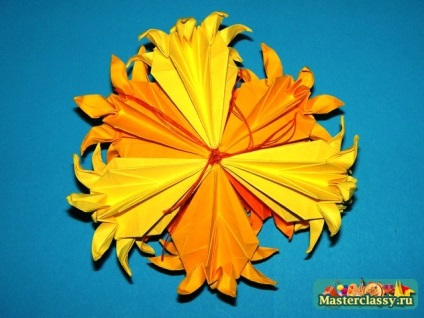 Kusudama daisy