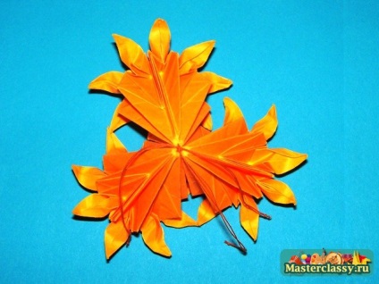 Kusudama daisy