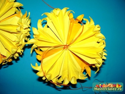 Kusudama daisy