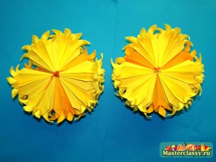 Kusudama daisy