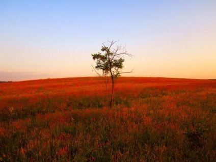 Landscape park Zuevsky fotografie, recenzii ale hotelului