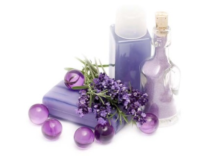 Lavandula angustifolia hidcote albastru (lavanda) - magazin online - adeniu acasă din semințe în plante