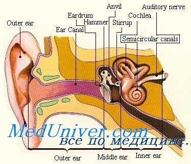 Tratamentul zgomotului urechii de origine tubală