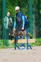 Magazin de muniție pentru formare și sport - wunderhund