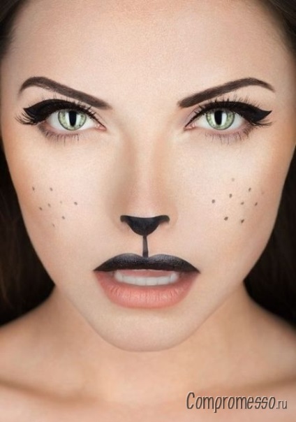 Machiaj pentru Halloween Makeover Cat