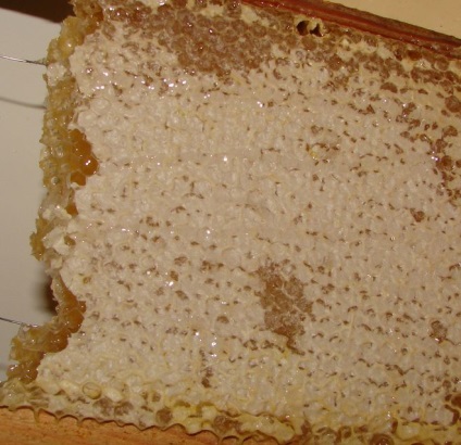 Honey in honeycombs - tudsz kovácsolni mézet a méhsejtekben