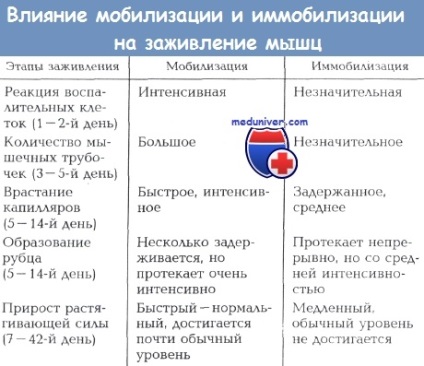 Mecanisme de vindecare musculară după traumă