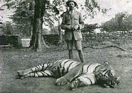 Atacurile Tigrilor asupra oamenilor