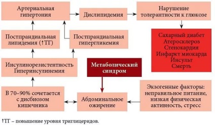 Remedii populare pentru hipertensiunea arterială în diabet zaharat, rețete și sfaturi