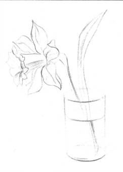 Narcissus într-un desen de sticlă din natură (creion)