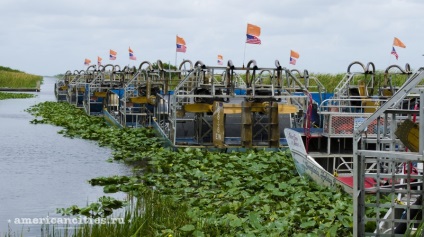 Parcul National Everglades, Miami - atractii turistice, orase din SUA