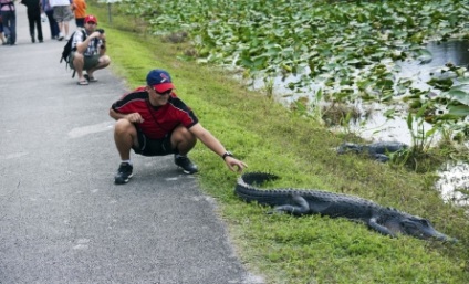 Parcul National Everglades, Miami - atractii turistice, orase din SUA