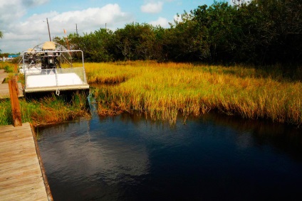 Everglades National Park în Florida (Statele Unite ale Americii) fotografii, descriere, locații interesante