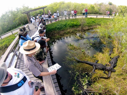 Everglades National Park în Florida (Statele Unite ale Americii) fotografii, descriere, locații interesante