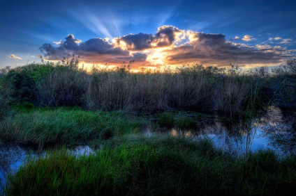Everglades National Park în Florida (Statele Unite ale Americii) fotografii, descriere, locații interesante