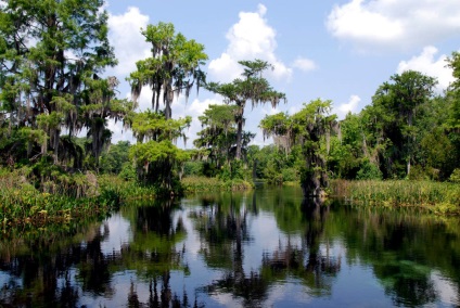 Everglades National Park în Florida (Statele Unite ale Americii) fotografii, descriere, locații interesante