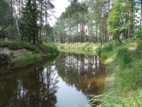 Nemzeti Park 