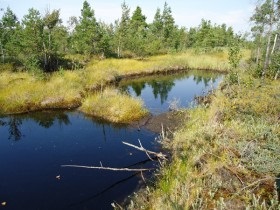 Nemzeti Park 