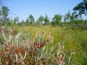 Nemzeti Park 