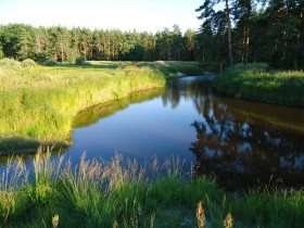 Nemzeti Park 