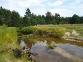 Nemzeti Park 