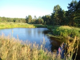 Nemzeti Park 