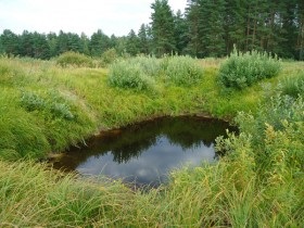 Nemzeti Park 