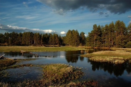 Nemzeti Park 