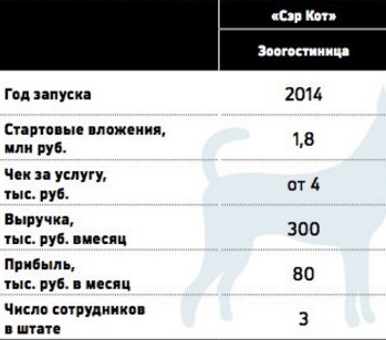 Idei de afaceri neobișnuite Top 7 idei originale pentru afaceri