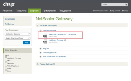 Netscaler gateway de acces