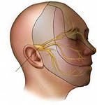 Neurinomul nervului auditiv - tratamentul asupra sistemului cybernail