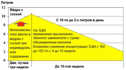 Új ajánlások a borjúeledelben