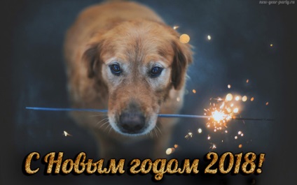 Újévi kártyák a kutya évéhez (2018) Gratulálunk, ingyenes letöltés